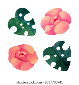 Watercolor set with monstera leaves and peonies