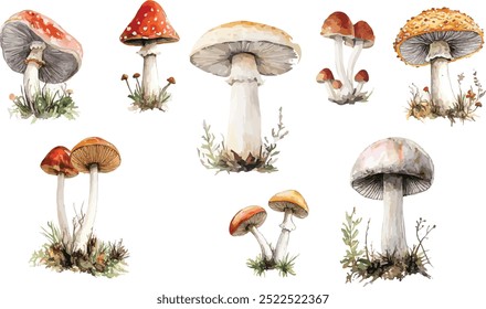 Aquarela conjunto de cogumelos, elementos de outono, coleção de vetores, ilustração