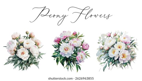 Watercolor set of peony flowers bouquets. Watercolor pink and white peony flowers in watercolor. floral elements for wedding and romantic designs. Watercolor botany.