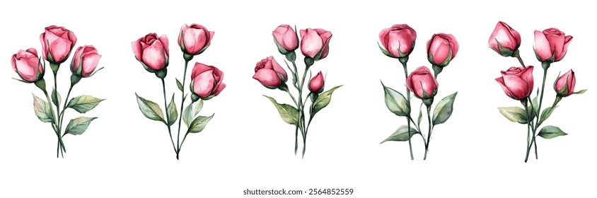 Watercolor set of pink eustoma flowers png. Рink eustoma flowers, elements for wedding designs and others. Wedding concepts. Watercolor botany.	