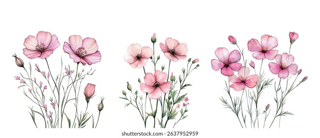 Watercolor set of pink wildflowers png. Romantic soft pink wildflowers on a transparent background. Elements for rustic designs. watercolor wild flowers. Vector illustration.