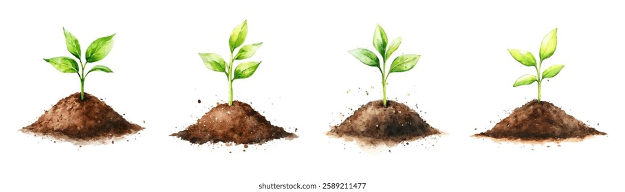 Watercolor set of planting green plants png. Planting plants and trees infographics. Concept of growing plants, agriculture, conservation and population of trees, etc.