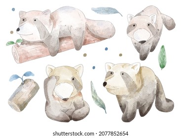 watercolor set of raccoon in difference action , lying on  stump or walking on white background, vector illustration