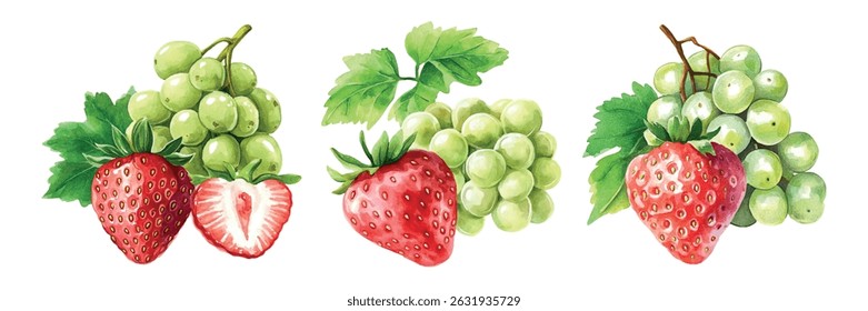 Watercolor set of red strawberries with green grapes png. Watercolor red strawberry berries next to bunch of green grapes. Juicy summer berries. Summer fresh berries concept.