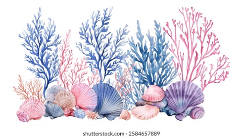 Watercolor set of sea algae and shells. Seaweed in purple-blue and pink colors along with sea shells. Concept of underwater marine plants and decorations. Vector illustration.