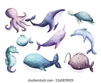 Watercolor set of sea creature 