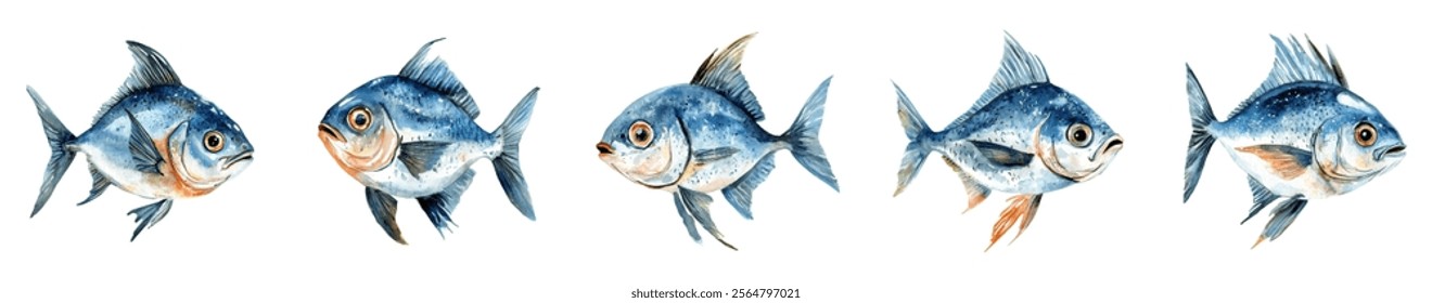 Watercolor set of sea fish png. Marine and ocean fish. Concept of sea food, whole chilled fish. Fish shop, restoran etc. Vector illustration.