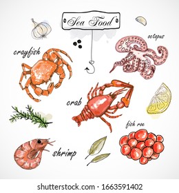 Watercolor set with seafood, oysters, crab, shrimp, lemon and herbs and spices. Hand-drawn on a white background.