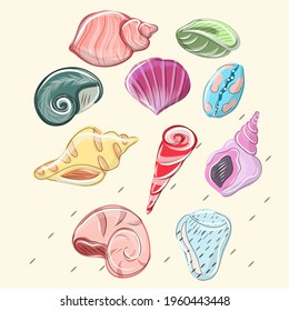 Watercolor set of seashells on white background for your menu or design. Summer beach sea shells, underwater, ocean reef tropical shells.