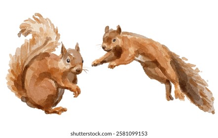 Watercolor set of squirrel for logo, invitations and more