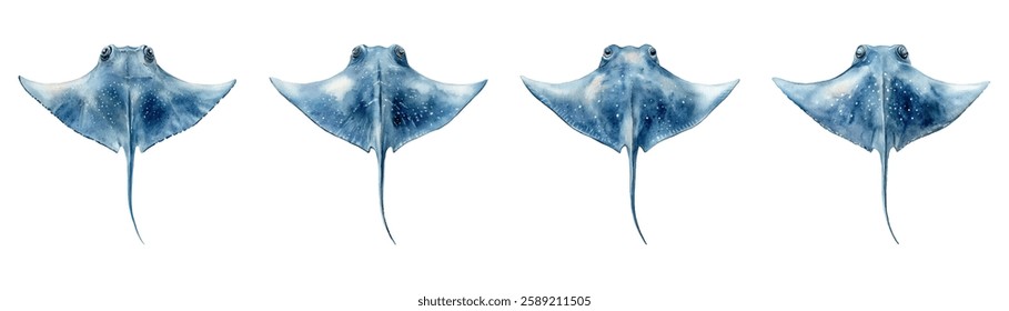 Watercolor set of stingrays png. Blue sea rays in watercolor style on isolated background. Sea and ocean inhabitants watercolor. Vector illustration.