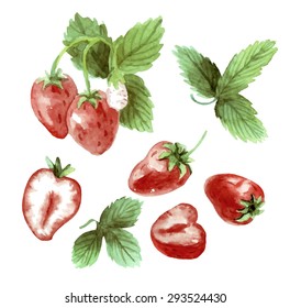 Watercolor set strawberry drawing. Strawberry on a white background. Vector illustration