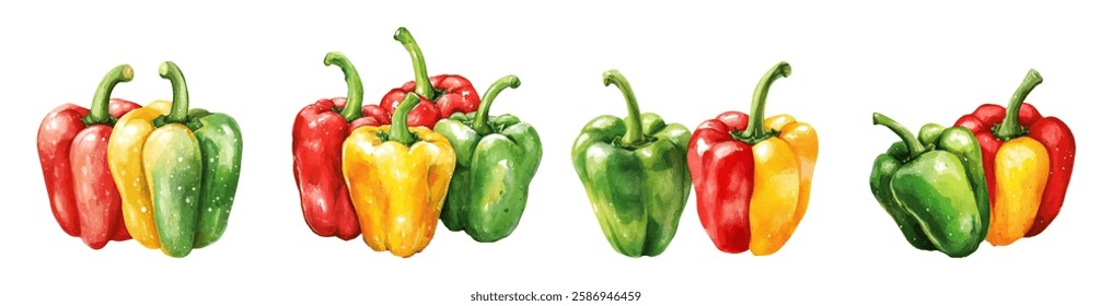 Watercolor set of sweet peppers. Watercolor paprika in red, yellow and green colors. Bell pepper. Vegetables and fresh produce concept. Vector illustration.