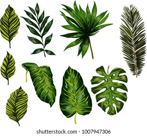 Watercolor set of tropical leaves.
