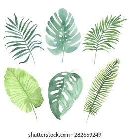 Watercolor set with tropical leaves. Vector element for your design.