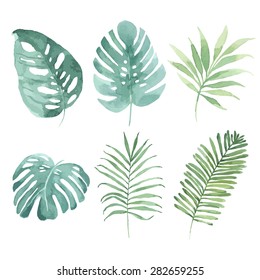 Watercolor set with tropical leaves. Vector element for your design.