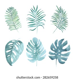 Watercolor set with tropical leaves. Vector element for your design.