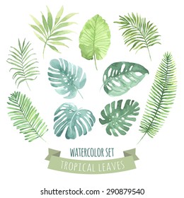 Watercolor set with tropical leaves. Vector element for your design.