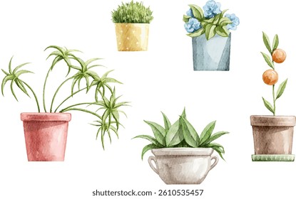 Watercolor set with various colorful home indoor flowers in pots vector