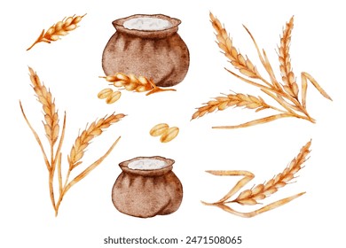 Watercolor set vector illustration of bag of flour, golden wheat spikes, grain crop isolated on white background