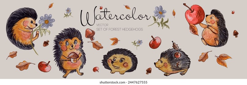 Watercolor set of vector illustration. Forest hedgehog, apples autumn leaves Cute fairy hedgehogs