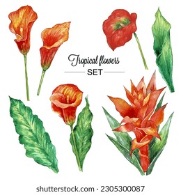 Watercolor set of vinage floral tropical elements. Exotic flowers, vector botanical illustration. 