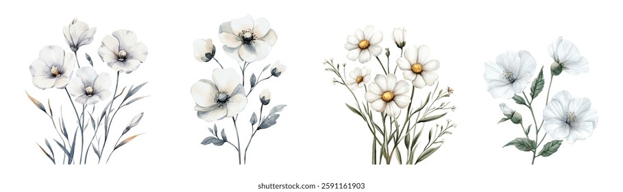 Watercolor set of white flowers png. Watercolor field and meadow flowers in vintage style. Flower elements for wedding designs, rustic, etc. Watercolor botany, vector.