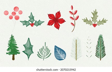 Watercolor set of winter flowers and leaves Christmas elements vector template