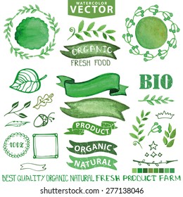 Watercolor set.Branches,green badges, labels,ribbons,plants elements,wreaths and laurels.Organic,bio,ecology natural design template.Hand drawing painting.Vintage vector
