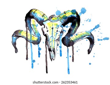 The Watercolor Sheep Skull. Vector