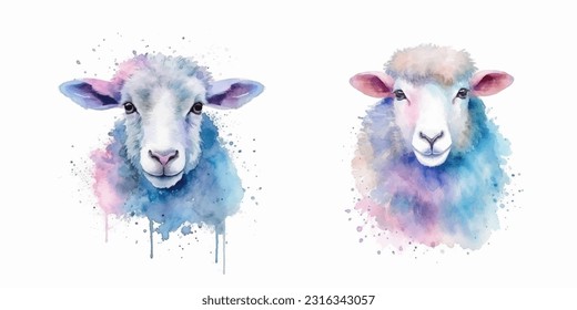 watercolor Sheep vector illustration design
