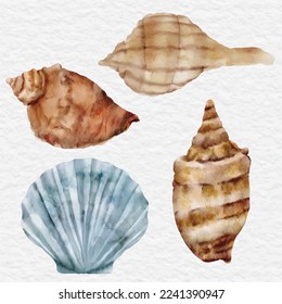 watercolor shellfish element collection element clip art