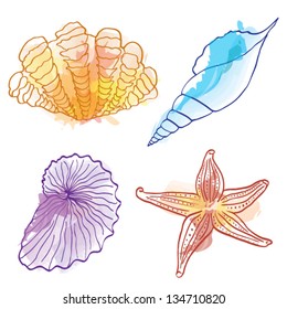 watercolor shells