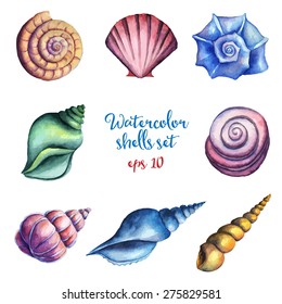 Watercolor shells set. Vector illustration.