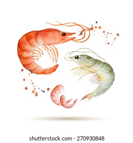 Watercolor shrimp. Fresh organic seafood. Hand painted vector isolated illustration on a white background.