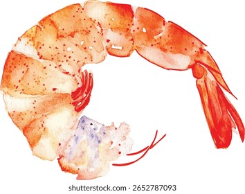 Camarão Aquarela - Isolado Marisco Design ilustração vetorial