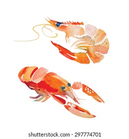 Watercolor Shrimp. Sea Food Fresh. Handmade Painting