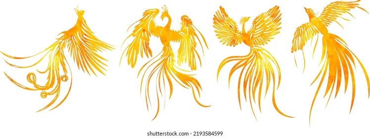 watercolor silhouette phoenix bird, set isolated, vector