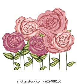 watercolor silhouette with set of roses flowers with stem and leaves vector illustration