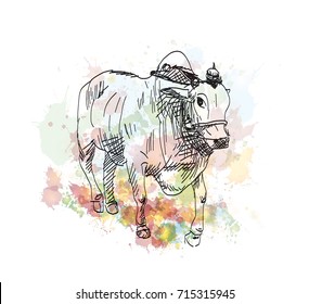 Watercolor sketch of Bull in vector illustration.