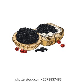 Watercolor sketch of gourmet black caviar appetizer on sandwich and tartlet, hand drawn vector. Red and black caviar. Seafood. Outline illustration on isolated background. Engraved style.