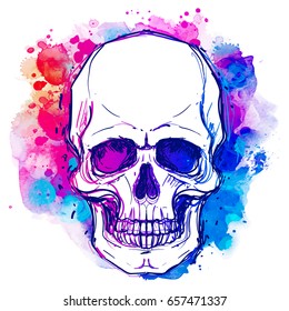 Watercolor Skull Images, Stock Photos & Vectors | Shutterstock