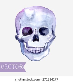 Watercolor skull background, beautiful illustration, Vector