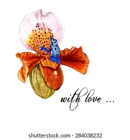 Watercolor Slipper Orchid & Blue Tropical Frog, isolated on white background. Vector Element for your design. Hand drawn botanical illustration for Save the Date & Valentines day cards, covers.