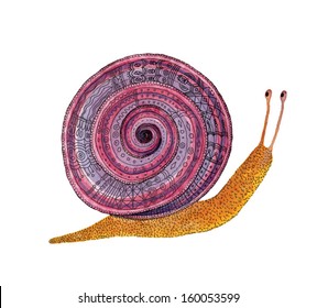 Watercolor snail with a pink shell in the patterns vector