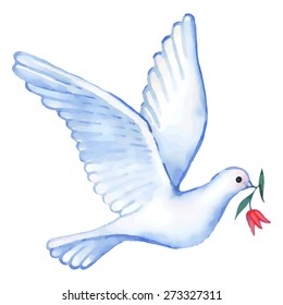 Watercolor soaring dove with flower, vector illustration isolated on background