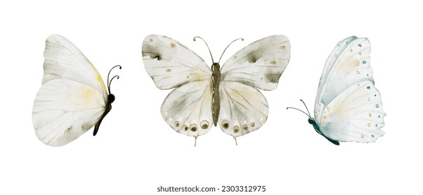 Watercolor soft earth tones butterflies collection, vector butterfly elements on white background. Illustration butterfly suitable for decorating in your design.