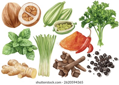 Aquarela Especiarias e ervas Vetor Clip Art Set Pintado à Mão Chilli Ginger Lemongrass Basil Salsa Clove Juniper Nutmeg Paprika Okra Folhas Ilustração