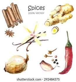 Watercolor spices isolated: cinnamon and anise, ginger root, vanilla, garlic, black and red pepper, onion, cloves. Spices vector object isolated on white background. Kitchen herbs and spices banner.