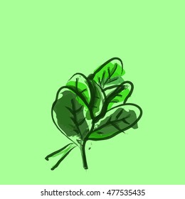 Watercolor Spinach